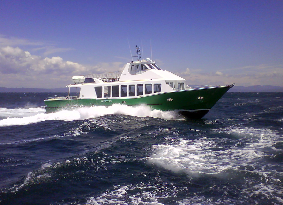 bateaux-verts-img2